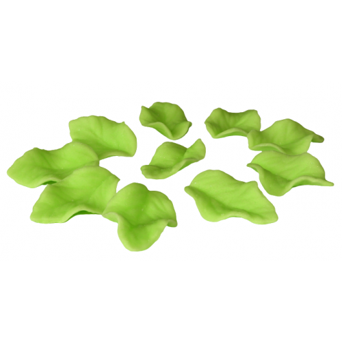 Listki cukrowe liście dekoracja tort zielony 10x